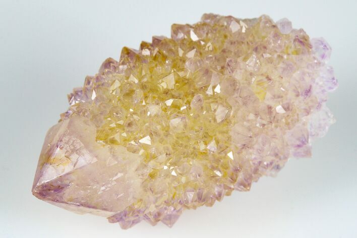 Cactus Quartz (Amethyst) Crystal - South Africa #182991